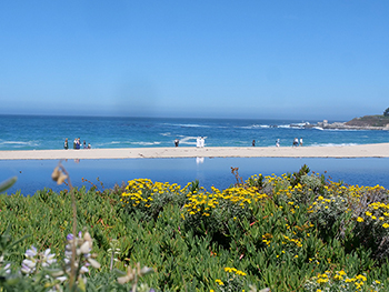pilgrimage carmel 1