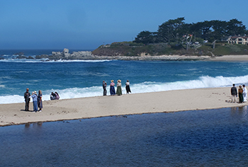 pilgrimage carmel 2