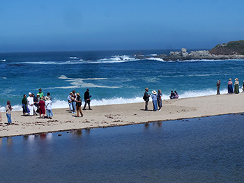 pilgrimage carmel 3