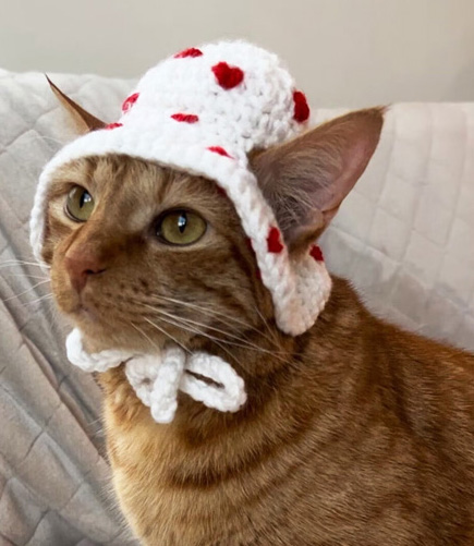 A cat wearing a crocheted bonnet
