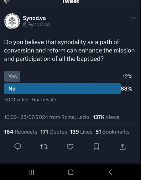 Vatican synod poll